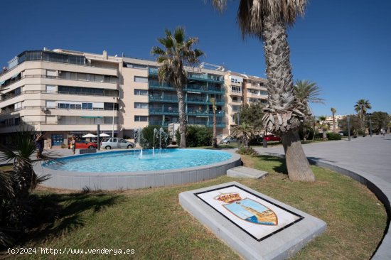 Piso en alquiler en Torrevieja (Alicante)