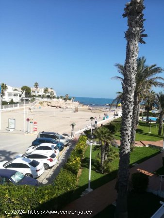 Casa en alquiler en Orihuela (Alicante)