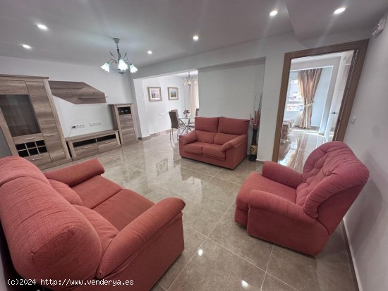 Apartamento en alquiler en Guardamar del Segura (Alicante)