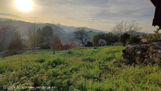 Parcela en venta a estrenar en Oviedo (Asturias)