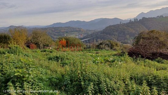 Parcela en venta a estrenar en Oviedo (Asturias)