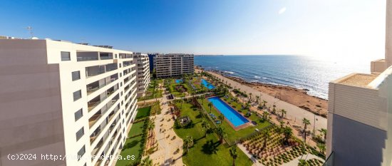 Apartamento en venta a estrenar en Torrevieja (Alicante)