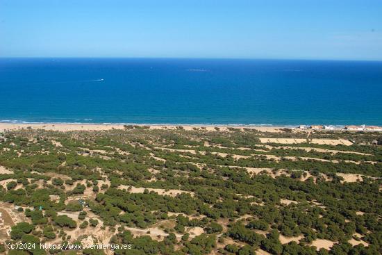 Se Vende en Ciudad quesada - ALICANTE