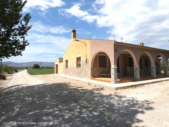 CASA DE HUERTA CON TERRENO - ALICANTE