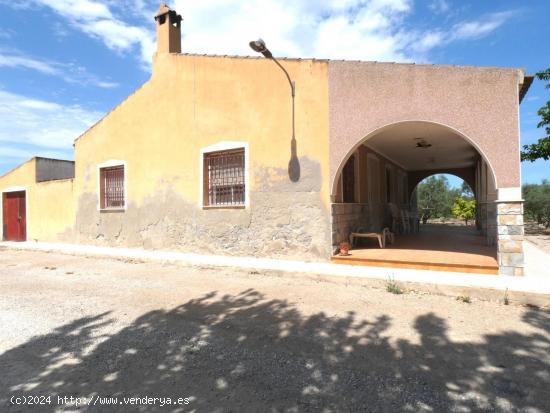 CASA DE HUERTA CON TERRENO - ALICANTE