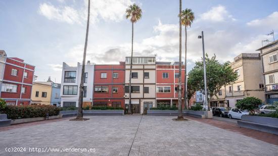 Se Vende en San Cristobal de La Laguna - SANTA CRUZ DE TENERIFE