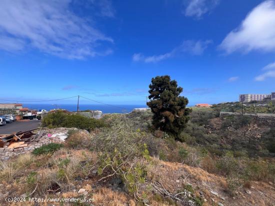 Se Vende en Icod de los Vinos - SANTA CRUZ DE TENERIFE