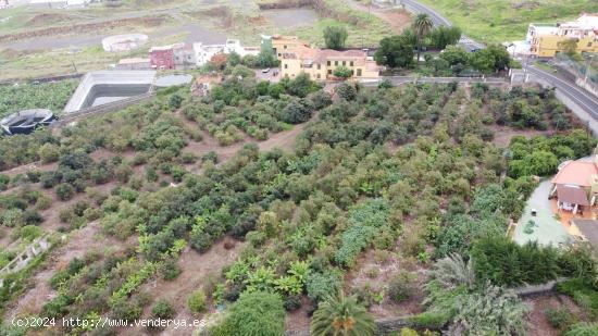 Se Vende en La Orotava - SANTA CRUZ DE TENERIFE