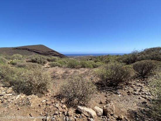 Se Vende en San Miguel de Abona - SANTA CRUZ DE TENERIFE