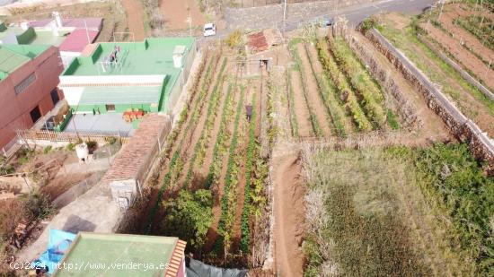 Se Vende en La Matanza de Acentejo - SANTA CRUZ DE TENERIFE