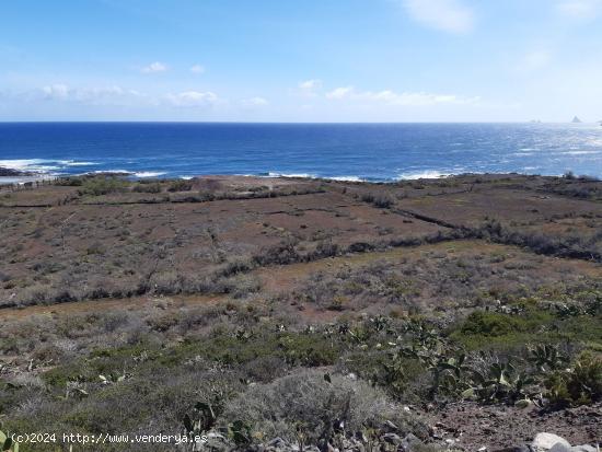 Se Vende en San Cristobal de La Laguna - SANTA CRUZ DE TENERIFE