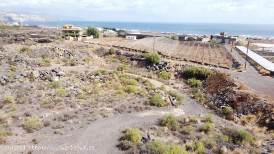 Se Vende en Arafo - SANTA CRUZ DE TENERIFE