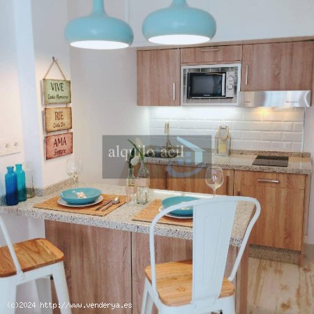 SE ALQUILA APARTAMENTO DE UNA HABITACION EN ELVIRIA URBANIZACION ROMANA PLAYA!