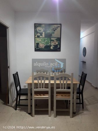 SE ALQUILA APARTAMENTO EN PLENO CORAZON DE SAN PEDRO DE ALCANTARA ! MES JULIO Y AGOSTO