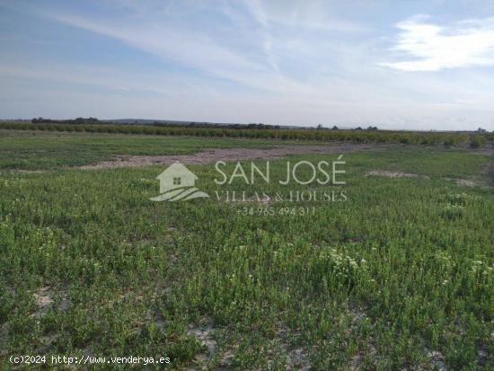 VENTA DE PARCELA EN LAS BAYAS BAJA - ALICANTE