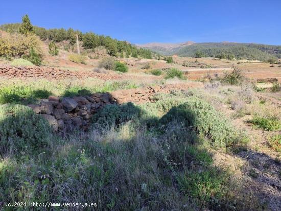 Terreno en venta Vilaflor - SANTA CRUZ DE TENERIFE