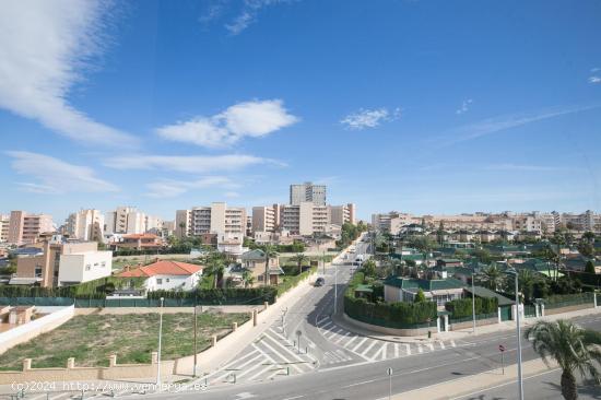 Vive la exclusividad con vistas a la bahía de Alicante - ALICANTE