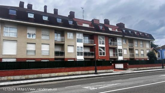 PLANTA BAJA CON JARDIN EN BARCENA DE CICERO - CANTABRIA