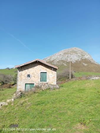  FINCA RUSTICA Y CABAÑA DE PIEDRA EN SAN MARTIN SOBA (CANTABRIA) - CANTABRIA 