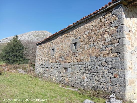 FINCA RUSTICA Y CABAÑA DE PIEDRA EN SAN MARTIN SOBA (CANTABRIA) - CANTABRIA