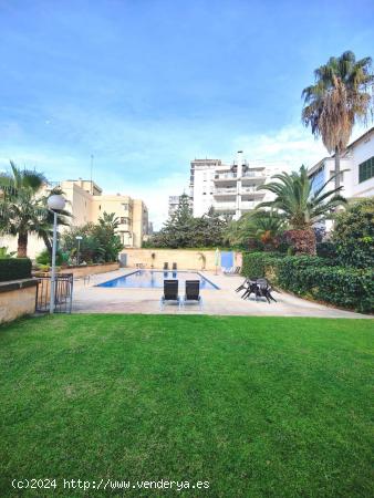 PISO DE 3 HABITACIONES, TERRAZA, PARKING, TRASTERO Y PISCINA COMUNITARIA CON JARDINES EN CALA MAJOR.