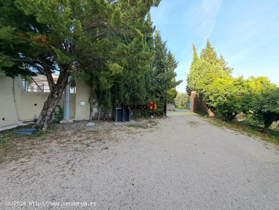 CHALET EN BIXQUERT CON PISCINA, PAELLERO, VALLADO... - VALENCIA