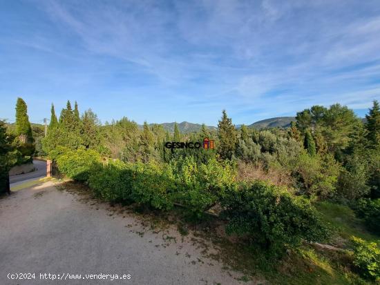 CHALET EN BIXQUERT CON PISCINA, PAELLERO, VALLADO... - VALENCIA