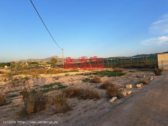 FINCA CON PARRAL EN MONFORTE DEL CID - ALICANTE