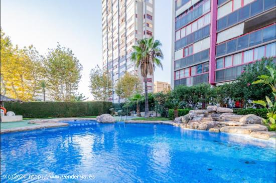 SE VENDE ATICO DE DOS DORMITORIOS EN BENIDORM CON VISTAS INCREIBLES AL MAR - ALICANTE