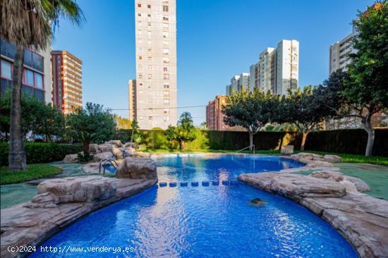 SE VENDE ATICO DE DOS DORMITORIOS EN BENIDORM CON VISTAS INCREIBLES AL MAR - ALICANTE