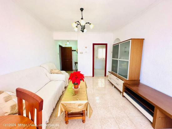 APARTAMENTO EN EL CENTRO DE TORREVIEJA. 3 DORMITORIOS. 1 BAÑO. 80M2. PLAYA A 500 METROS. - ALICANTE