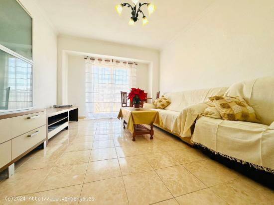 APARTAMENTO EN EL CENTRO DE TORREVIEJA. 3 DORMITORIOS. 1 BAÑO. 80M2. PLAYA A 500 METROS. - ALICANTE