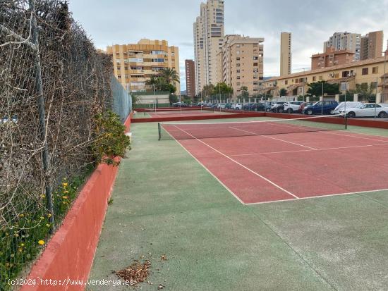 2 DORMITORIOS NUEVOS JUZGADOS - ALICANTE