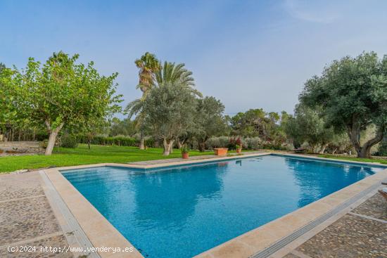 Finca rústica con cédula de habitabilidad en Villafranca de Bonany - BALEARES