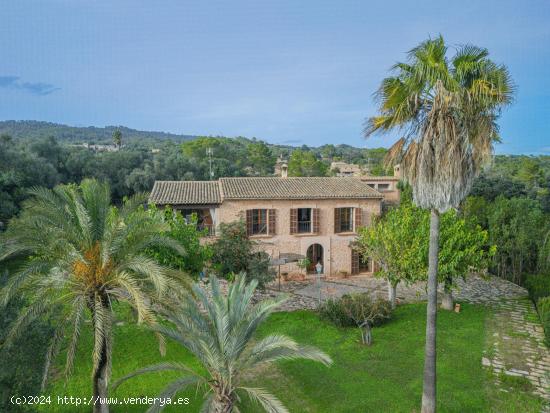 Finca rústica con cédula de habitabilidad en Villafranca de Bonany - BALEARES