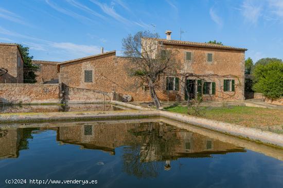  Finca Rústica con cédula de habitabilidad y 14 hectáreas en Son Ferró - BALEARES 