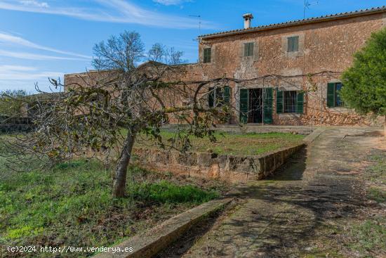 Finca Rústica con cédula de habitabilidad y 14 hectáreas en Son Ferró - BALEARES