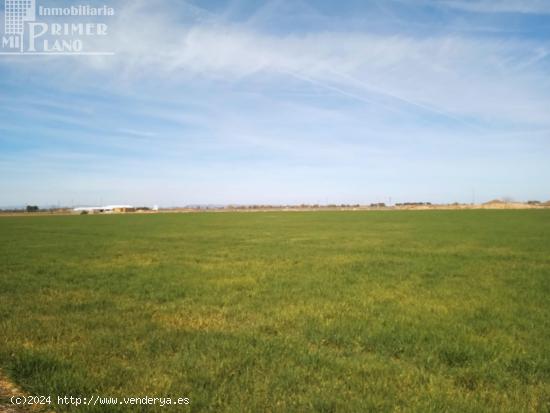 Se vende 9.5 hectareas de tierra blanca de regadio en CINCO CASAS PARAJE LA NAVA - CIUDAD REAL