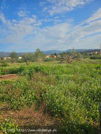 Finca en venta en Xerta (Tarragona)