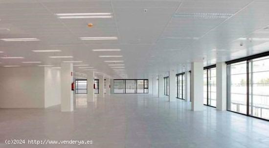  Oficina de 660m2 ubicado en Calle Jacinto Benavente, Las Rozas, Madrid - MADRID 