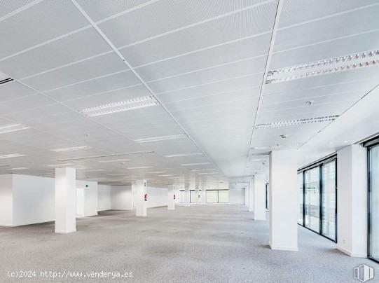 Oficina de 660m2 ubicado en Calle Jacinto Benavente, Las Rozas, Madrid - MADRID