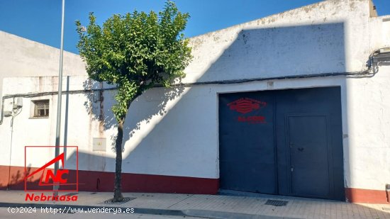  Nave en venta en El Cuervo de Sevilla (Sevilla) 