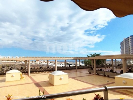 Apartamento en venta en Adeje (Tenerife)