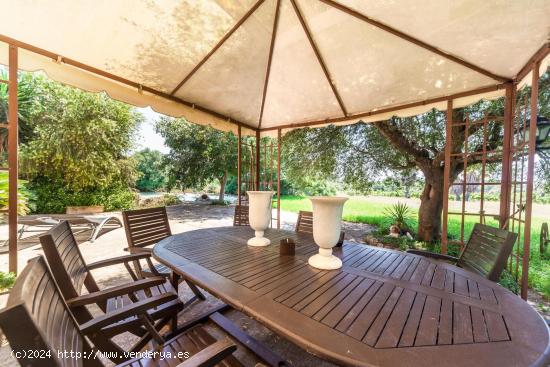 SE VENDE FINCA RUSTICA EN SENCELLES - BALEARES