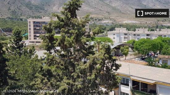 Estudio en alquiler en El Bajondillo - MALAGA