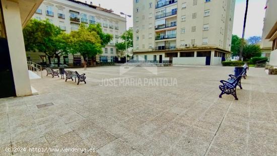 PISO EN PARQUE CAPUCHINOS - CADIZ