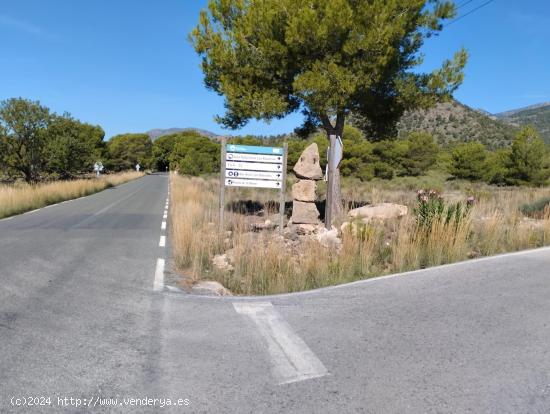 Parcela Rústica con permiso de obra en Sierra Espuña: ¡Tu Oportunidad en la Naturaleza! - MURCIA