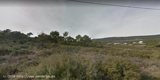 PARCELA EN VENTA - TARRAGONA