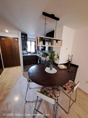 Apartamento Olivia Punta Prima con 2 dormitorios - ALICANTE