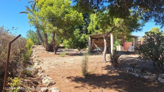 Fantástico chalet con parcela para reformar en el centro de La Marina, Alicante, Costa Blanca - ALI